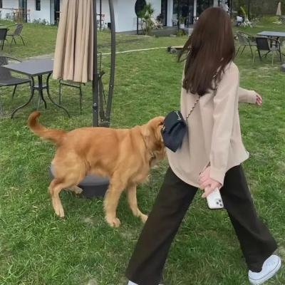 梅府有女初长成